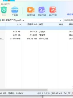 [自行打包] 20240915录制--黑人屌毛在广西 [1V+516M][百度盘]